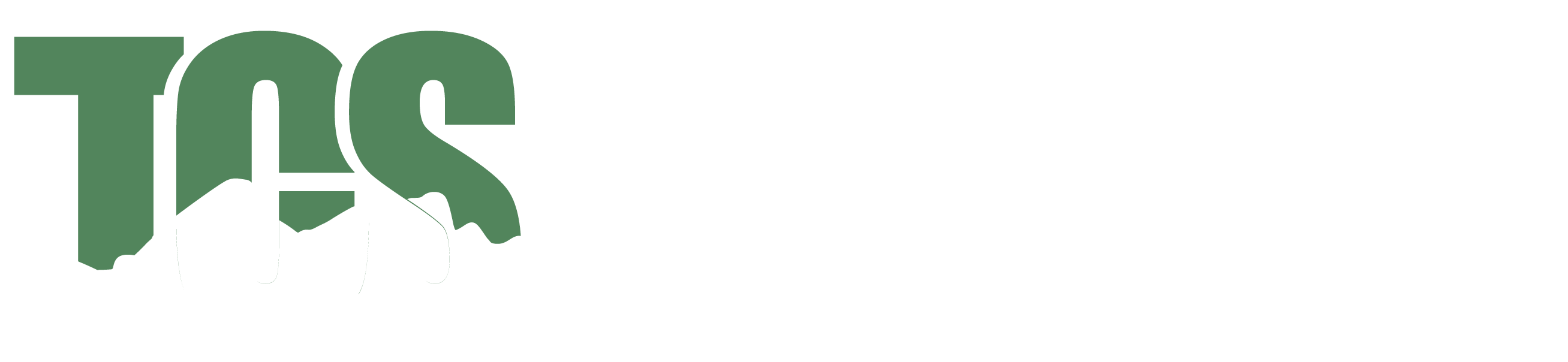 Teton Concrete Surfaces